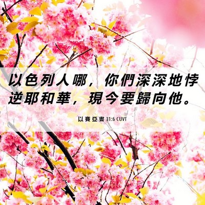 Picture 06 - 以 賽 亞 書 31:6 CUVT - 以 色 列 人 哪 ， 你 們 深 深 地 悖 - Bible Verse Picture