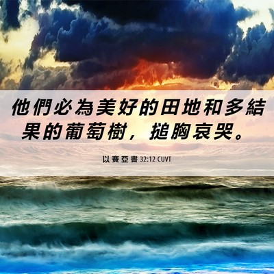 Picture 06 - 以 賽 亞 書 32:12 CUVT - 他 們 必 為 美 好 的 田 地 和 多 結 - Bible Verse Picture