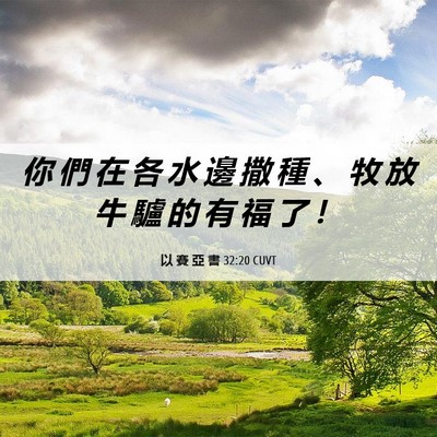 Picture 06 - 以 賽 亞 書 32:20 CUVT - 你 們 在 各 水 邊 撒 種 、 牧 放 牛 - Bible Verse Picture