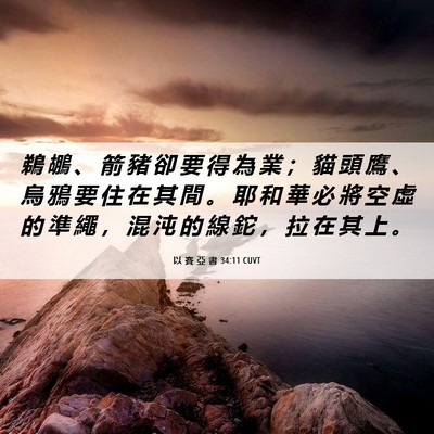 Picture 06 - 以 賽 亞 書 34:11 CUVT - 鵜 鶘 、 箭 豬 卻 要 得 為 業 ； 貓 - Bible Verse Picture