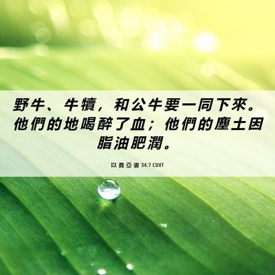 Picture 06 - 以 賽 亞 書 34:7 CUVT - 野 牛 、 牛 犢 ， 和 公 牛 要 一 同 - Bible Verse Picture