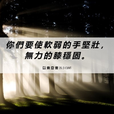 Picture 06 - 以 賽 亞 書 35:3 CUVT - 你 們 要 使 軟 弱 的 手 堅 壯 ， 無 - Bible Verse Picture
