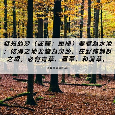 Picture 06 - 以 賽 亞 書 35:7 CUVT - 發 光 的 沙 （ 或 譯 ： 蜃 樓 ） 要 - Bible Verse Picture