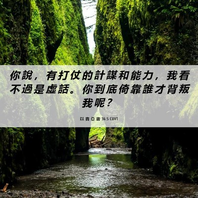 Picture 06 - 以 賽 亞 書 36:5 CUVT - 你 說 ， 有 打 仗 的 計 謀 和 能 力 - Bible Verse Picture