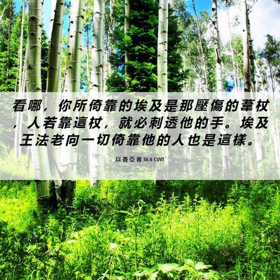 Picture 06 - 以 賽 亞 書 36:6 CUVT - 看 哪 ， 你 所 倚 靠 的 埃 及 是 那 - Bible Verse Picture