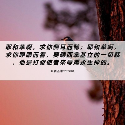 Picture 06 - 以 賽 亞 書 37:17 CUVT - 耶 和 華 啊 ， 求 你 側 耳 而 聽 ； - Bible Verse Picture