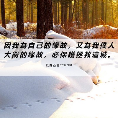 Picture 06 - 以 賽 亞 書 37:35 CUVT - 因 我 為 自 己 的 緣 故 ， 又 為 我 - Bible Verse Picture