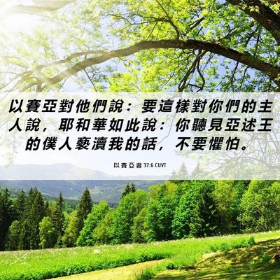 Picture 06 - 以 賽 亞 書 37:6 CUVT - 以 賽 亞 對 他 們 說 ： 要 這 樣 對 - Bible Verse Picture