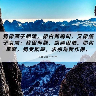 Picture 06 - 以 賽 亞 書 38:14 CUVT - 我 像 燕 子 呢 喃 ， 像 白 鶴 鳴 叫 - Bible Verse Picture
