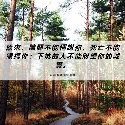 Picture 06 - 以 賽 亞 書 38:18 CUVT - 原 來 ， 陰 間 不 能 稱 謝 你 ， 死 - Bible Verse Picture