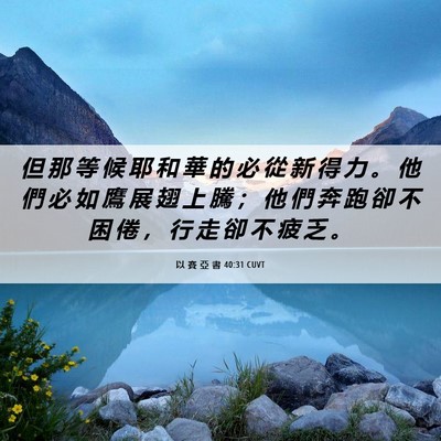 Picture 06 - 以 賽 亞 書 40:31 CUVT - 但 那 等 候 耶 和 華 的 必 從 新 得 - Bible Verse Picture