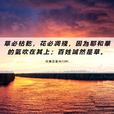 Picture 06 - 以 賽 亞 書 40:7 CUVT - 草 必 枯 乾 ， 花 必 凋 殘 ， 因 為 - Bible Verse Picture