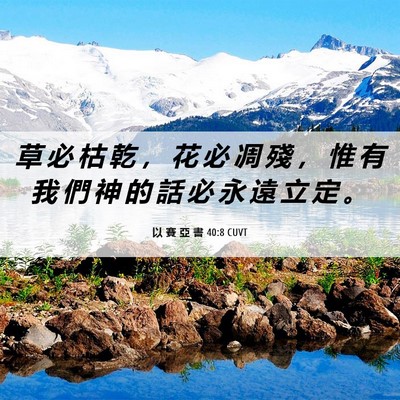 Picture 06 - 以 賽 亞 書 40:8 CUVT - 草 必 枯 乾 ， 花 必 凋 殘 ， 惟 有 - Bible Verse Picture