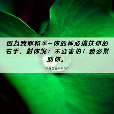 Picture 06 - 以 賽 亞 書 41:13 CUVT - 因 為 我 耶 和 華 ─ 你 的 神 必 攙 - Bible Verse Picture