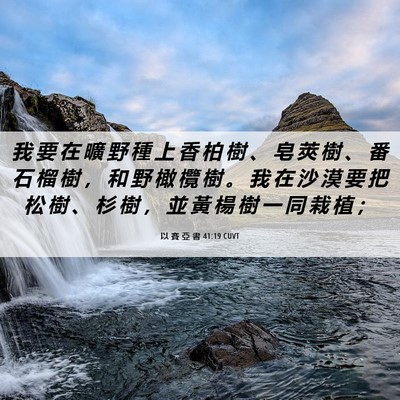Picture 06 - 以 賽 亞 書 41:19 CUVT - 我 要 在 曠 野 種 上 香 柏 樹 、 皂 - Bible Verse Picture