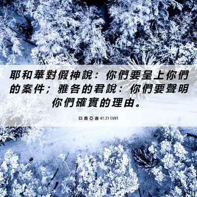 Picture 06 - 以 賽 亞 書 41:21 CUVT - 耶 和 華 對 假 神 說 ： 你 們 要 呈 - Bible Verse Picture