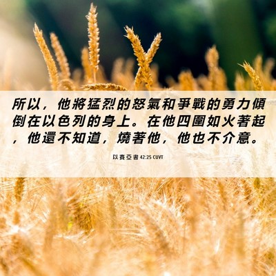 Picture 06 - 以 賽 亞 書 42:25 CUVT - 所 以 ， 他 將 猛 烈 的 怒 氣 和 爭 - Bible Verse Picture