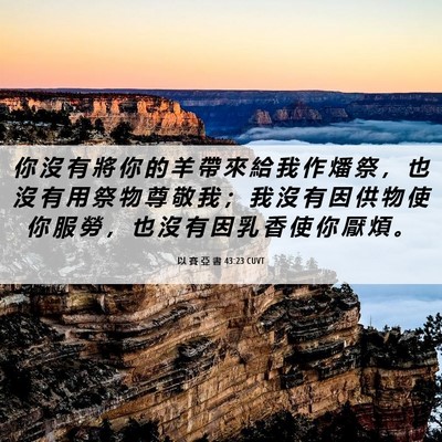 Picture 06 - 以 賽 亞 書 43:23 CUVT - 你 沒 有 將 你 的 羊 帶 來 給 我 作 - Bible Verse Picture
