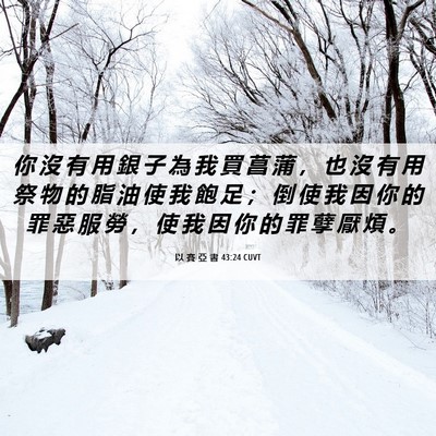 Picture 06 - 以 賽 亞 書 43:24 CUVT - 你 沒 有 用 銀 子 為 我 買 菖 蒲 ， - Bible Verse Picture