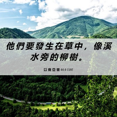 Picture 06 - 以 賽 亞 書 44:4 CUVT - 他 們 要 發 生 在 草 中 ， 像 溪 水 - Bible Verse Picture