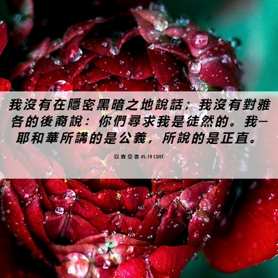 Picture 06 - 以 賽 亞 書 45:19 CUVT - 我 沒 有 在 隱 密 黑 暗 之 地 說 話 - Bible Verse Picture