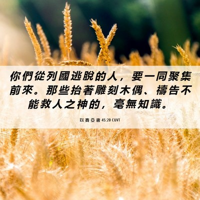 Picture 06 - 以 賽 亞 書 45:20 CUVT - 你 們 從 列 國 逃 脫 的 人 ， 要 一 - Bible Verse Picture