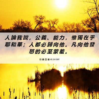 Picture 06 - 以 賽 亞 書 45:24 CUVT - 人 論 我 說 ， 公 義 、 能 力 ， 惟 - Bible Verse Picture