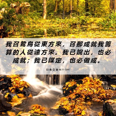 Picture 06 - 以 賽 亞 書 46:11 CUVT - 我 召 鷙 鳥 從 東 方 來 ， 召 那 成 - Bible Verse Picture