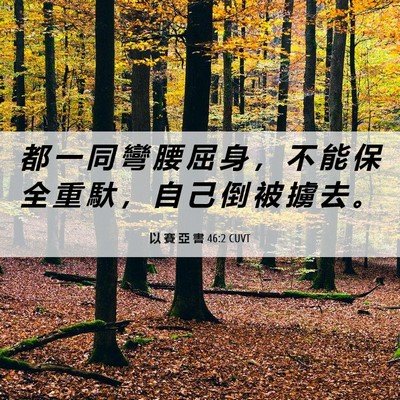 Picture 06 - 以 賽 亞 書 46:2 CUVT - 都 一 同 彎 腰 屈 身 ， 不 能 保 全 - Bible Verse Picture