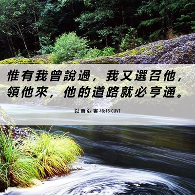Picture 06 - 以 賽 亞 書 48:15 CUVT - 惟 有 我 曾 說 過 ， 我 又 選 召 他 - Bible Verse Picture