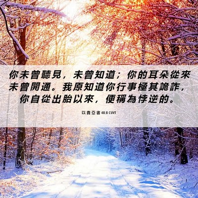 Picture 06 - 以 賽 亞 書 48:8 CUVT - 你 未 曾 聽 見 ， 未 曾 知 道 ； 你 - Bible Verse Picture
