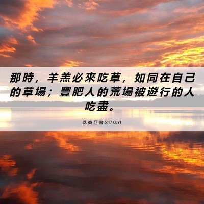 Picture 06 - 以 賽 亞 書 5:17 CUVT - 那 時 ， 羊 羔 必 來 吃 草 ， 如 同 - Bible Verse Picture