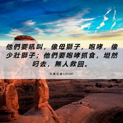 Picture 06 - 以 賽 亞 書 5:29 CUVT - 他 們 要 吼 叫 ， 像 母 獅 子 ， 咆 - Bible Verse Picture