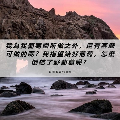 Picture 06 - 以 賽 亞 書 5:4 CUVT - 我 為 我 葡 萄 園 所 做 之 外 ， 還 - Bible Verse Picture