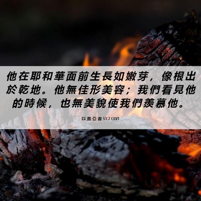 Picture 06 - 以 賽 亞 書 53:2 CUVT - 他 在 耶 和 華 面 前 生 長 如 嫩 芽 - Bible Verse Picture