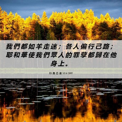 Picture 06 - 以 賽 亞 書 53:6 CUVT - 我 們 都 如 羊 走 迷 ； 各 人 偏 行 - Bible Verse Picture