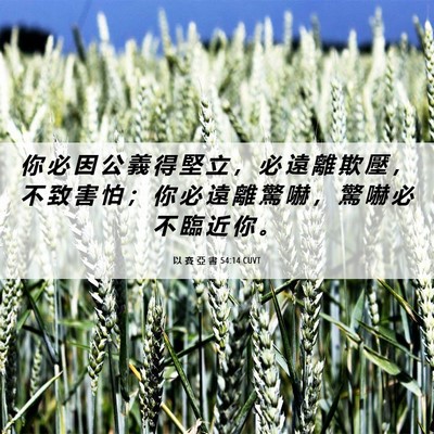 Picture 06 - 以 賽 亞 書 54:14 CUVT - 你 必 因 公 義 得 堅 立 ， 必 遠 離 - Bible Verse Picture
