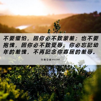 Picture 06 - 以 賽 亞 書 54:4 CUVT - 不 要 懼 怕 ， 因 你 必 不 致 蒙 羞 - Bible Verse Picture