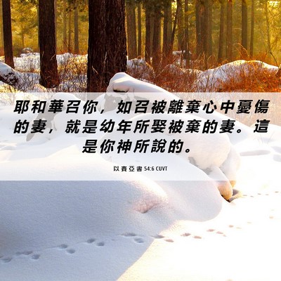 Picture 06 - 以 賽 亞 書 54:6 CUVT - 耶 和 華 召 你 ， 如 召 被 離 棄 心 - Bible Verse Picture