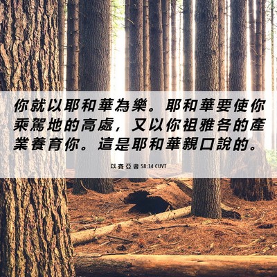 Picture 06 - 以 賽 亞 書 58:14 CUVT - 你 就 以 耶 和 華 為 樂 。 耶 和 華 - Bible Verse Picture