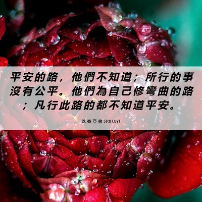 Picture 06 - 以 賽 亞 書 59:8 CUVT - 平 安 的 路 ， 他 們 不 知 道 ； 所 - Bible Verse Picture
