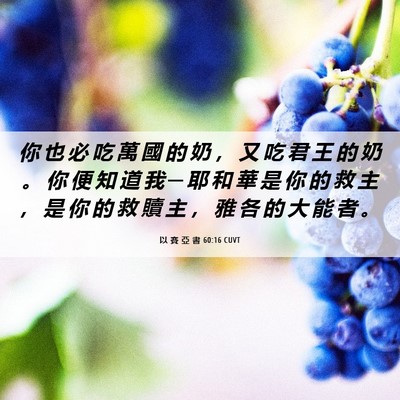 Picture 06 - 以 賽 亞 書 60:16 CUVT - 你 也 必 吃 萬 國 的 奶 ， 又 吃 君 - Bible Verse Picture