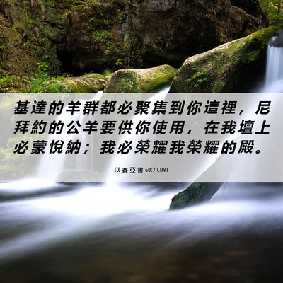 Picture 06 - 以 賽 亞 書 60:7 CUVT - 基 達 的 羊 群 都 必 聚 集 到 你 這 - Bible Verse Picture
