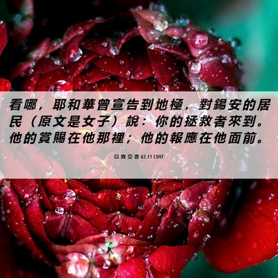 Picture 06 - 以 賽 亞 書 62:11 CUVT - 看 哪 ， 耶 和 華 曾 宣 告 到 地 極 - Bible Verse Picture