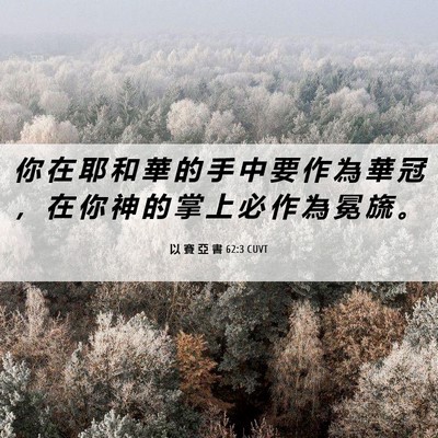 Picture 06 - 以 賽 亞 書 62:3 CUVT - 你 在 耶 和 華 的 手 中 要 作 為 華 - Bible Verse Picture