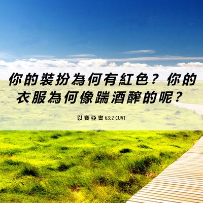 Picture 06 - 以 賽 亞 書 63:2 CUVT - 你 的 裝 扮 為 何 有 紅 色 ？ 你 的 - Bible Verse Picture