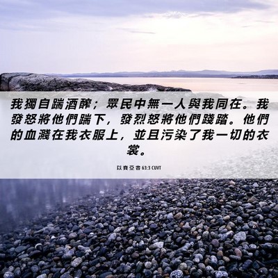 Picture 06 - 以 賽 亞 書 63:3 CUVT - 我 獨 自 踹 酒 醡 ； 眾 民 中 無 一 - Bible Verse Picture
