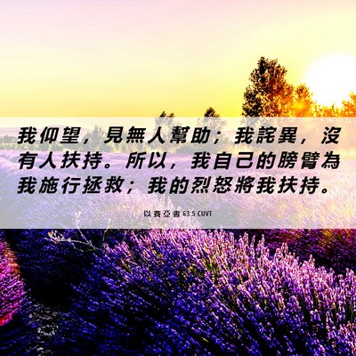 Picture 06 - 以 賽 亞 書 63:5 CUVT - 我 仰 望 ， 見 無 人 幫 助 ； 我 詫 - Bible Verse Picture