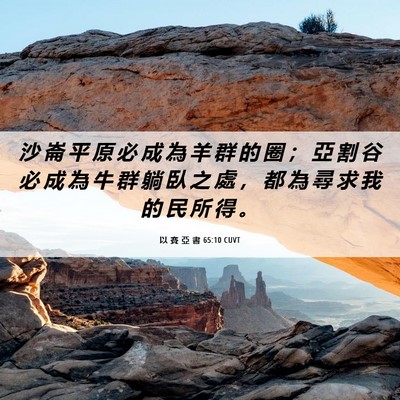Picture 06 - 以 賽 亞 書 65:10 CUVT - 沙 崙 平 原 必 成 為 羊 群 的 圈 ； - Bible Verse Picture
