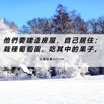 Picture 06 - 以 賽 亞 書 65:21 CUVT - 他 們 要 建 造 房 屋 ， 自 己 居 住 - Bible Verse Picture